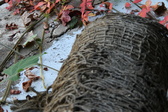 Enlarge photo 357