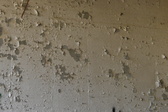 Enlarge photo 352