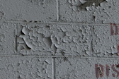 Enlarge photo 351