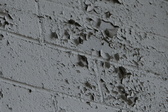 Enlarge photo 350