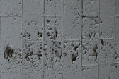 Enlarge photo 349