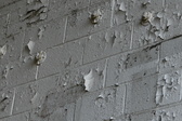 Enlarge photo 347