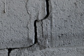 Enlarge photo 344