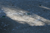 Enlarge photo 310