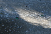 Enlarge photo 309