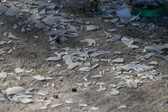 Enlarge photo 308