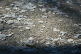 Enlarge photo 306