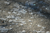 Enlarge photo 305