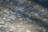 Enlarge photo 303