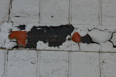 Enlarge photo 301