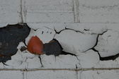 Enlarge photo 297