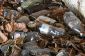 Enlarge photo 295