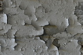Enlarge photo 296