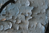 Enlarge photo 293
