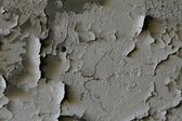 Enlarge photo 292