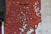 Enlarge photo 291