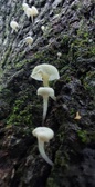 Enlarge photo 44