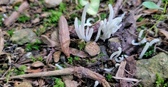 Enlarge photo 59