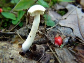 Enlarge photo 19