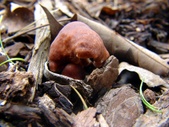 Enlarge photo 27