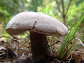 Enlarge photo 37
