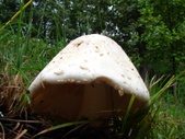 Enlarge photo 33
