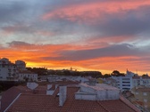 Enlarge photo 138
