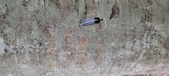 Enlarge photo 35