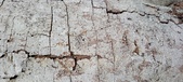 Enlarge photo 36