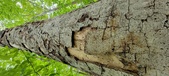 Enlarge photo 38