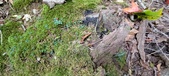 Enlarge photo 39