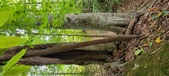 Enlarge photo 43