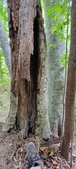 Enlarge photo 57