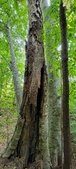 Enlarge photo 56