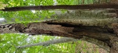 Enlarge photo 47