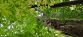 Enlarge photo 48
