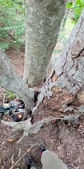 Enlarge photo 59