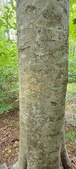 Enlarge photo 58