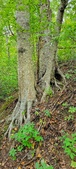 Enlarge photo 54