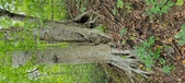 Enlarge photo 60