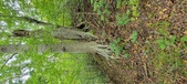 Enlarge photo 63