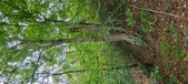 Enlarge photo 64