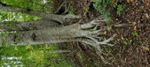 Enlarge photo 67