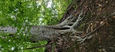 Enlarge photo 69