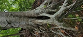 Enlarge photo 70