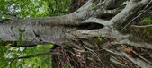 Enlarge photo 71