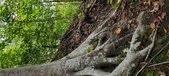 Enlarge photo 78
