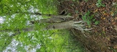 Enlarge photo 84