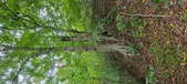 Enlarge photo 86