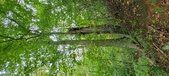 Enlarge photo 91